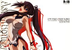 (C85) [STUDIO TRIUMPH (Mutou Keiji)] Astral Bout Ver. 27 (IS <Infinite Stratos>)