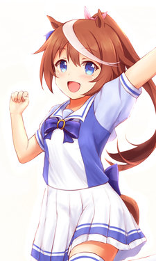 Teio Tokai (Uma Musume Pretty Derby)