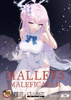 [Kawaiso Nanoha Nukeru (Nukeru)] Malleus Maleficarum -Majo ni Ataeru Tettsui- (Blue Archive) [Chinese] [臭鼬娘漢化組] [Digital]
