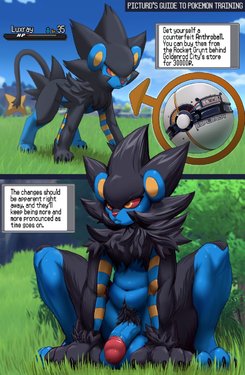 [Picturd] Luxray's Anthroball Training