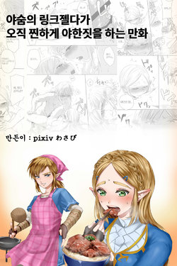 [Wasabi] BreaWi no LinZel ga Hitasura Ichaicha Shite Sukebe na Koto Suru Manga | 야숨의 링크젤다가 오직 찐하게 야한 짓을 하는 만화 (The Legend of Zelda) [Korean]