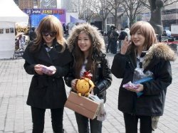 Spiral Cats - Miyuko