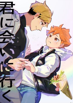 [Manmaru Kushami (nokoshi)] Kimi ni Ai ni Iku (Haikyuu!!) [English] [Digital]