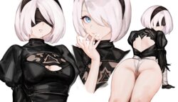 [Nashidrop] 2B (Uncensored)