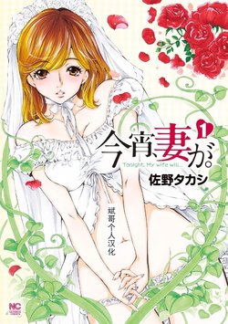 [佐野タカシ] 今宵、妻  [Chinese] [斌哥个人汉化]