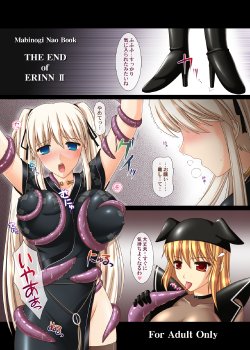 [SIMPLE HOUSE (Kafu)] THE END of ERINN II (Mabinogi) [Digital]