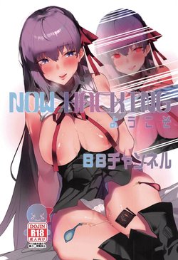 (C97) [Tsukimiya (Tsukimiya Tsutome)] NOW HACKING Youkoso BB Channel | NOW HACKING 어서오세요 BB채널 (Fate/Grand Order) [Korean]