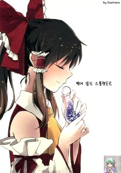 (C82) [Yonurime (Yonu)] Binzume Splendeur | 병에 담긴 스플랜도르 (Touhou Project) [Korean] [Gustrans]