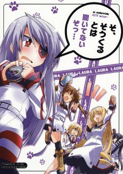 (C83) [Air X Gra (Bibi)] So, Soukuruto wa Kiitenaizo... | I Didn't Think That it Would All Come Down to This...  (IS <Infinite Stratos>) [English] [Rapid Switch]