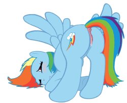 RULE 34 PONIES (Rainbow Dash)