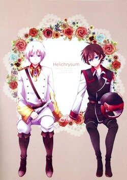 (V-RevolutionIV) [360°C (Natsu)] Helichrysum (Kakumeiki Valvrave)