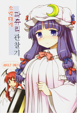 (C88) [110-GROOVE (Itou Yuuji)] Koakuma no Patchouli Kansatsuki | 소악마의 파츄리 관찰기 (Touhou Project) [Korean]