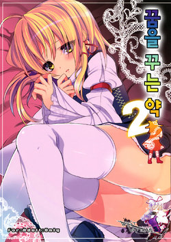 (C79) [super:nova (Yukimachi Tounosuke)] Yume Miru Kusuri 2 (Touhou Project) [Korean] [WestVatican]