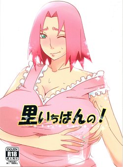 (C84) [Pucchu (Echigawa Ryuuka)] Sato Ichiban no! (NARUTO) [Korean]