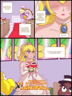 [Malezor] Last Affair (Super Mario Bros.) [Spanish] [Ongoing]