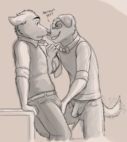 [Jackaloo] Patreon Requests