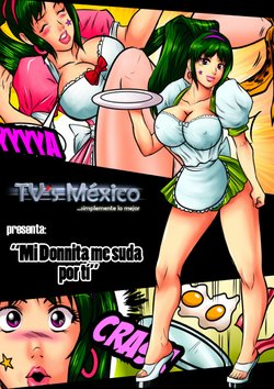 [Travestís México (Miyoko Segovia)] Mi Donnita me suda [English]