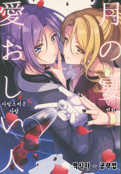 (PriConne Daihyakka 5) [Usagigoya. (Rokumaru Inami)] Tsuki no Utage, Itooshii Hitoㅣ달의 연회, 사랑스러운 사람 (Princess Connect! Re:Dive) [Korean] [공략법]