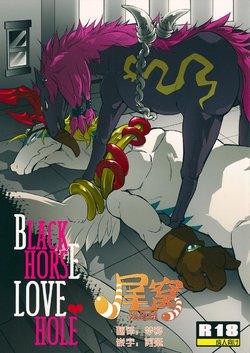 (C80) [Kimidori (Various)] Black Horse Love Hole (Legendz: Tale of the Dragon Kings) [Chinese] [尾窝汉化组]