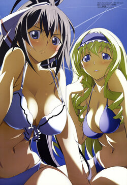 infinite stratos (my favourite)