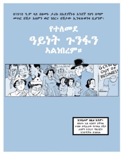 [David Lasky, Lin Lucas] No Ordinary Flu (Amharic)