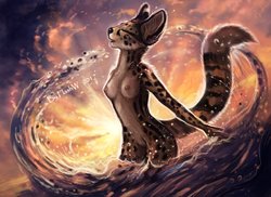 [furaffinity.net] Flash_lioness' Gallery