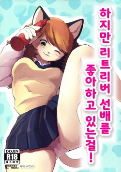 (Kemoket 12) [Kon Juuichibai (Momou)] Datte Inu Senpai no Koto Suki Nanda Mon! | 하지만 리트리버 선배를 좋아하고 있는걸! [Korean] [MTZ007]