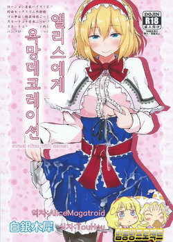 (Shuuki Reitaisai 2) [Hakuginmokusei (Poshi)] Alice ni Yokubou Decoration (Touhou Project)  [Korean] [팀동방프로젝트]