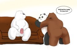 We Bare Bears