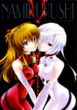 (C77) [Princess Heart (Amagai Yukino)] Namidukushi (Neon Genesis Evangelion) [English] ==Strange Companions==