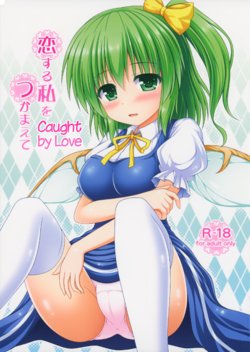 (Shuuki Reitaisai 2) [I'm (Matsubayashi Nagana)] Koisuru Watashi o Tsukamaete | Caught by Love (Touhou Project) [English] {Hennojin}