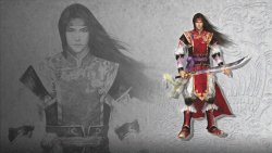 dynasty warriors-WU