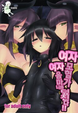 [Shadan Katsudoh (Kyuusuikei)] Onna Inma dakara Onna Boukensha Osou ne!! | 여자 음마니까 여자 모험자 덮친다!! [Korean] [팀 인생무상] [Digital]