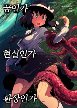 (SC58) [Ana Futatsu (Wenajii)] Yume ka Utsutsu ka Maboroshi ka (Touhou Project) [Korean]