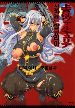 (C76) [YA-ZY (Yunioshi)] Joukan wa Valkyria (Valkyria Chronicles) [Korean]