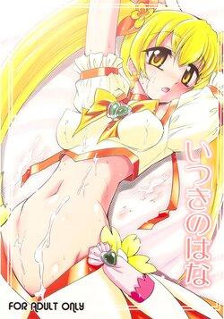 (C78) [YOKOSHIMAYA. (Yokoshima Takemaru)] Itsuki no Hana (HeartCatch Precure!) [Chinese] [个人团子翻译]