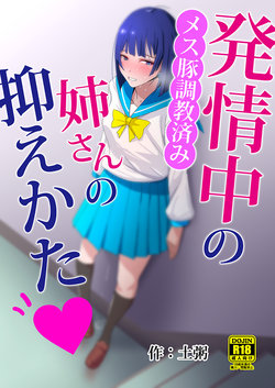 [Tsuchigayu] Hatsujouchuu no Nee-san no Osaekata - Mesubuta Choukyou Zumi