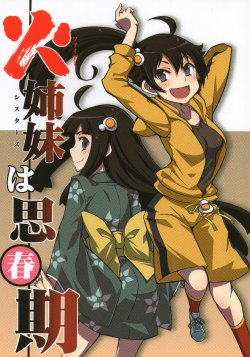 (C84) [OVERALL (Yu-ji,Joni,Okachi)] Fire Sisters wa Shishunki (Bakemonogatari)