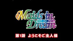 Maids in Dream (Set 01)