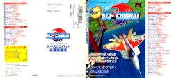 ACE Combat Victory Guide & ACE Combat Perfect Guide