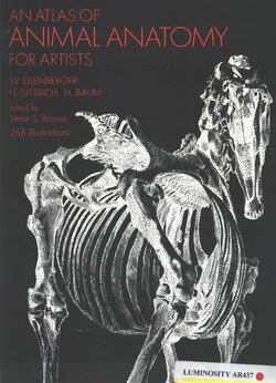 An Atlas of Animal Anatomy for Artists