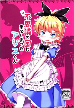 (C101) [Anzen Chitai (fun_bo)] Fushigi no Kuni ni Kite Shimatta Alice-kun