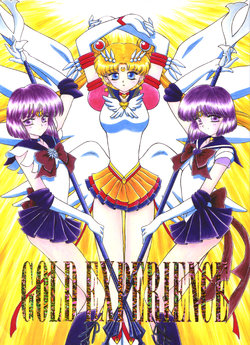 [BLACK DOG (Kuroinu Juu)] GOLD EXPERIENCE (Bishoujo Senshi Sailor Moon) [Spanish] [2000-09-15]