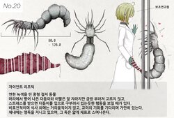 Mushi Research Report No.20 [Korean]