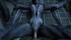 Xenomorph gif and pic