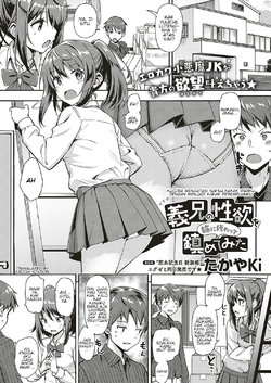 [TakayaKi] Gikei no Seiyoku o Ane ni Kawatte Shizumete Mita | Kucoba Mengatasi Nafsu Kakak Iparku Dengan Menjadi Kakak Perempuanku (COMIC ExE 17) [Indonesian] [Erochi Station] [Digital]