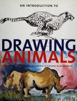 An introduction to drawing animals  anatomy, movement, perspective, character, composition