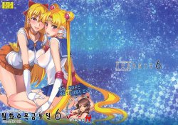 (C80) [Majimeya (Isao)] Getsu Ka Sui Moku Kin Do Nichi 6  | 월화수목금토일 6 (Bishoujo Senshi Sailor Moon) [Korean] [Project H]