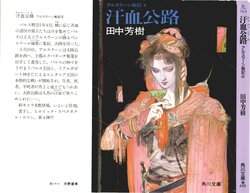 The Heroic Legend of Arslan (Arusurān Senki) - Yoshiki Tanaka and Yoshitaka Amano - Vol 4