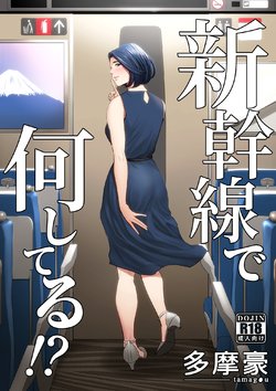 [Tamagou] Shinkansen de Nani shiteru!? [English] {Doujins.com}